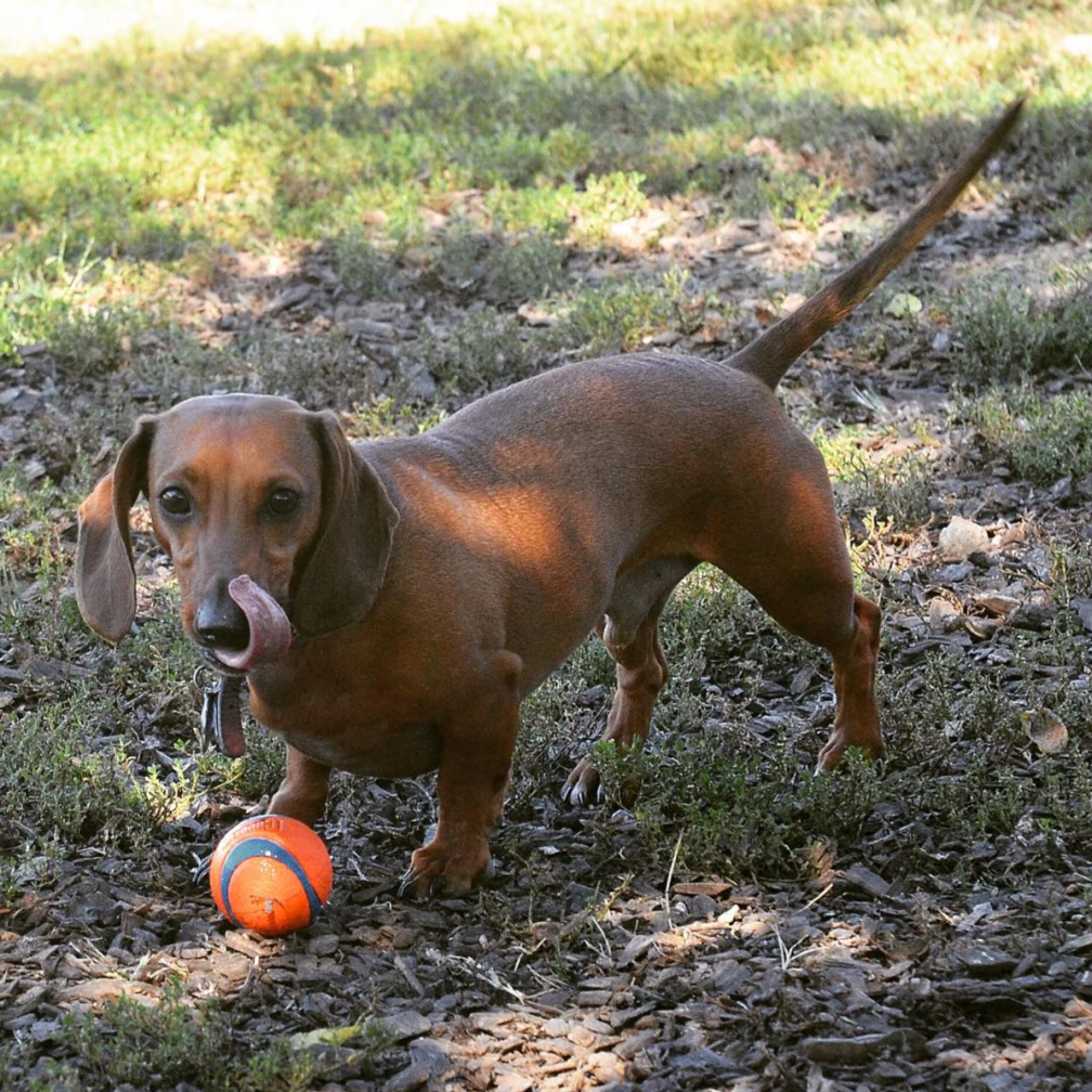 Screen Shot 2017-08-21 at 11.36.39 PM